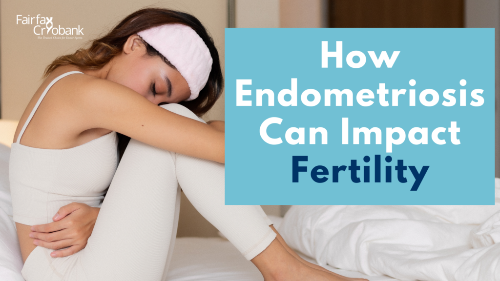 How Endometriosis Can Impact Fertility