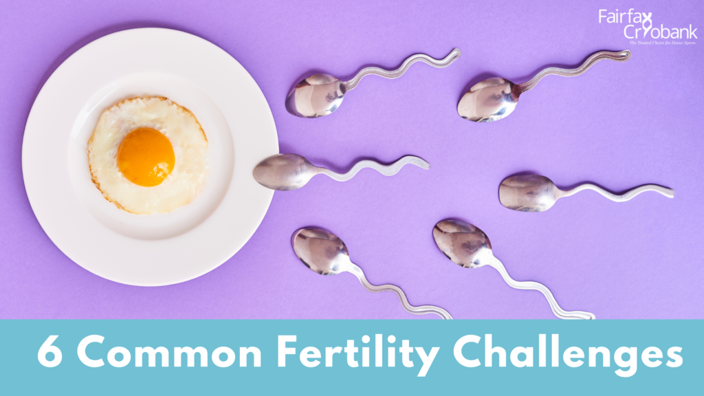 6 COMMON FERTILITY CHALLENGES