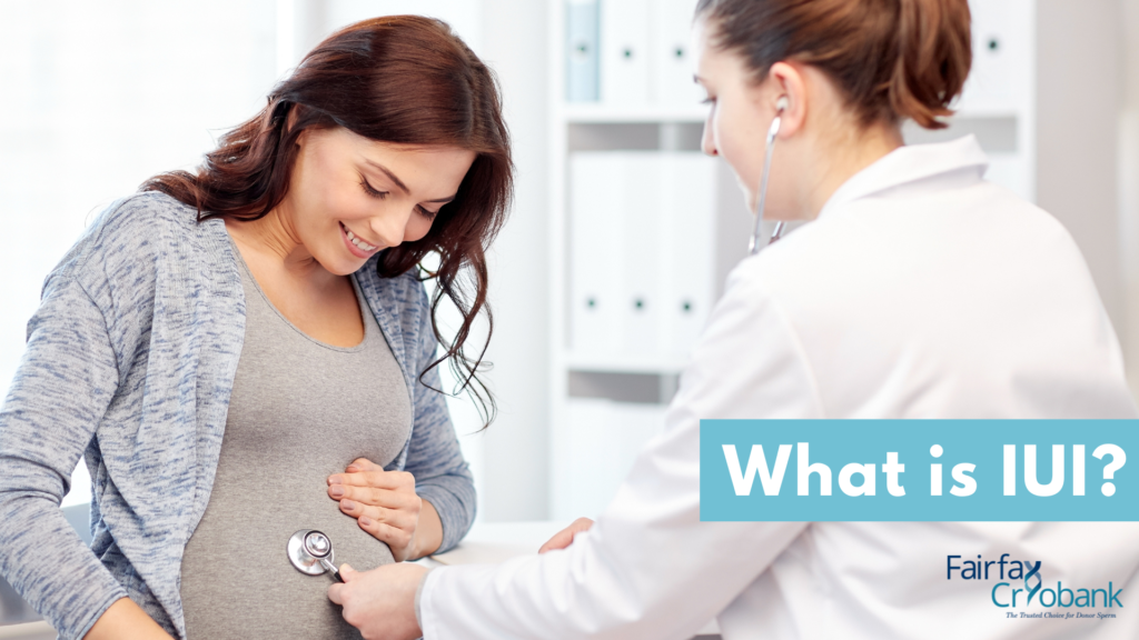 What is IUI?